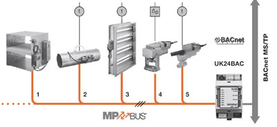 Схема подключения полевых устройств через шлюз BELIMO UK24BAC