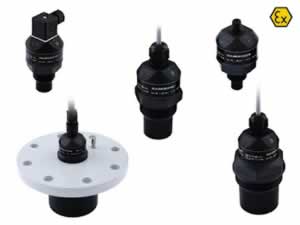 Сигнализаторы уровня Dinel ULS-53