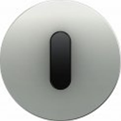 Выключатели и розетки Berker R.Classic