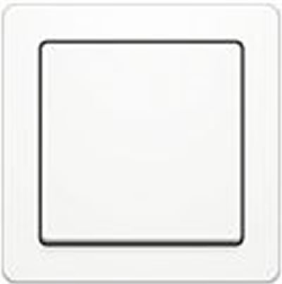 Выключатели и розетки Berker Q.1