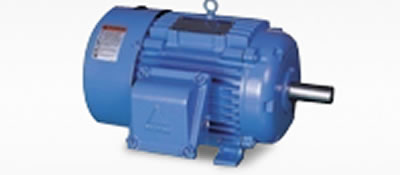 Асинхронные электродвигатели Hyundai Heavy Industries NEMA TEFC-Premium-IEEE841