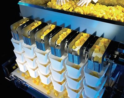 Весовые дозаторы ISHIDA для свежих продуктов