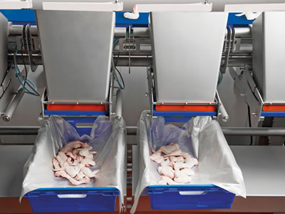 Сортировщик ISHIDA Flex