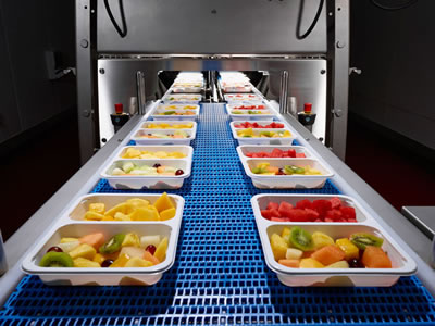 Трейсилеры ISHIDA QX-1100 Flex SDL