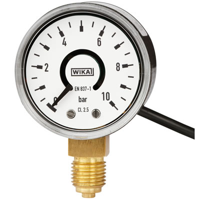 Деформационный манометр WIKA PGS06